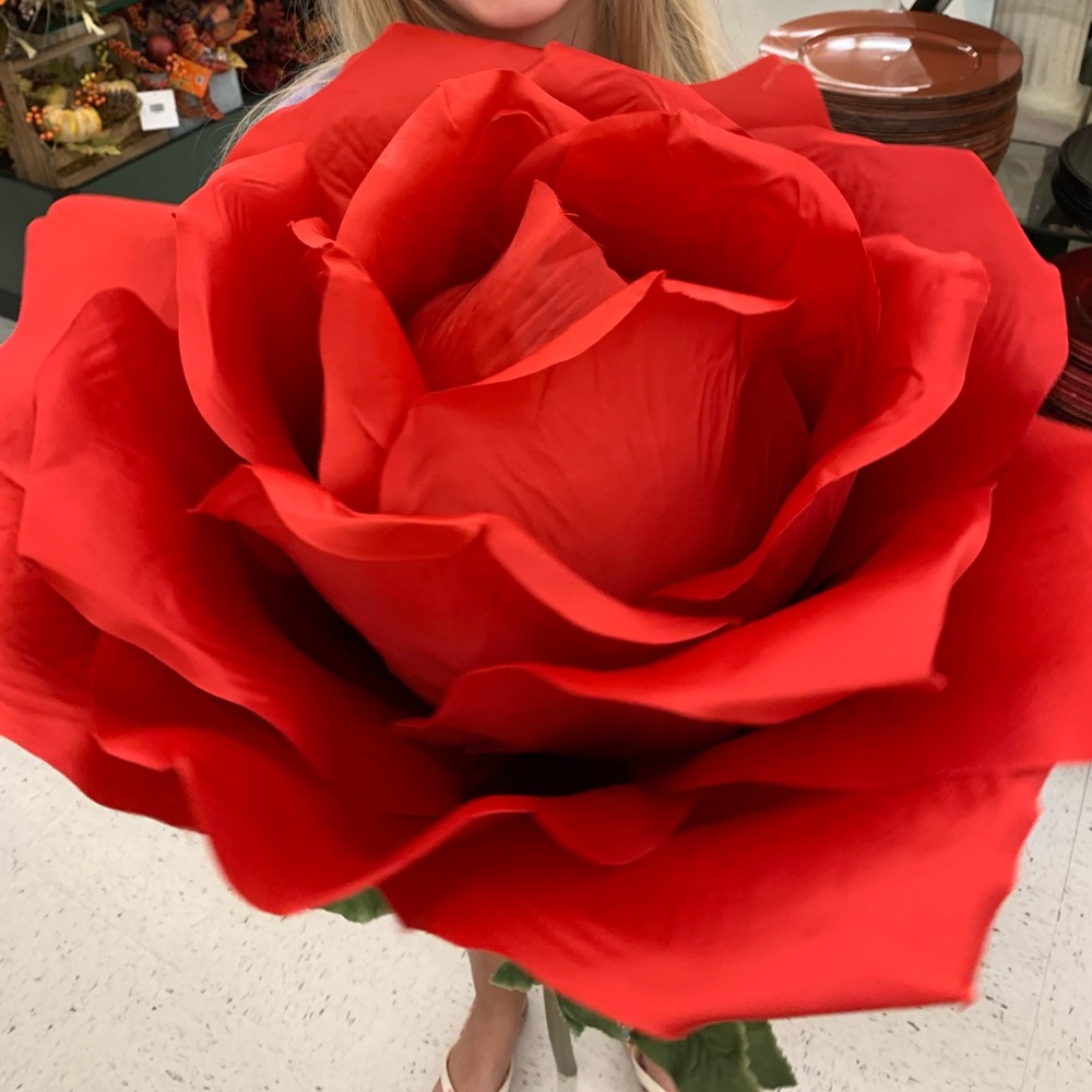 Meet your Posher, Sadie